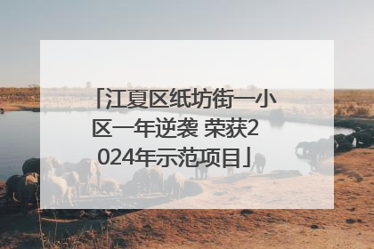 江夏区纸坊街一小区一年逆袭 荣获2024年示范项目