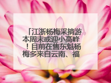 江浙杨梅采摘游本周末或迎小高峰！目前在售东魁杨梅多来自云南、福建，浙江露天东魁杨梅6月中旬大量上市