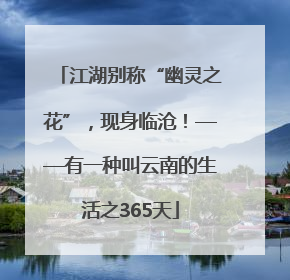 江湖别称“幽灵之花”，现身临沧！——有一种叫云南的生活之365天