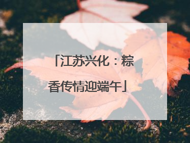 江苏兴化：粽香传情迎端午