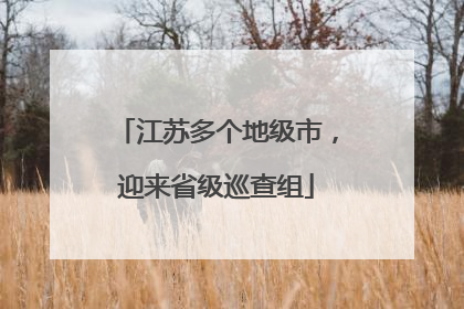 江苏多个地级市，迎来省级巡查组