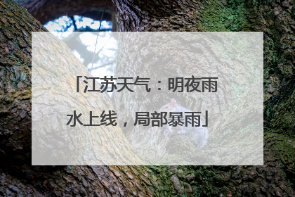 江苏天气：明夜雨水上线，局部暴雨