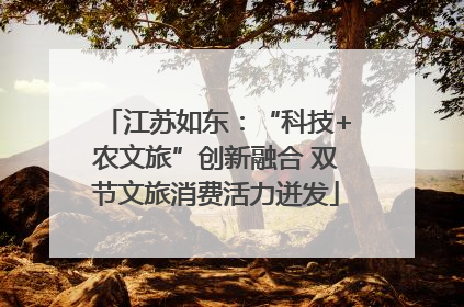 江苏如东：“科技+农文旅”创新融合 双节文旅消费活力迸发