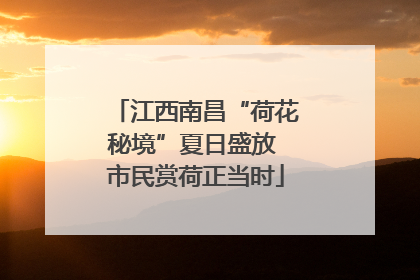 江西南昌“荷花秘境”夏日盛放 市民赏荷正当时
