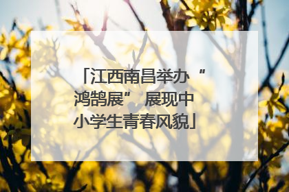 江西南昌举办“鸿鹄展” 展现中小学生青春风貌
