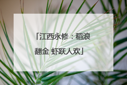 江西永修：稻浪翻金 虾跃人欢