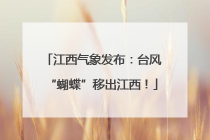 江西气象发布：台风“蝴蝶”移出江西！