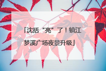 沈括“亮”了！镇江梦溪广场夜景升级