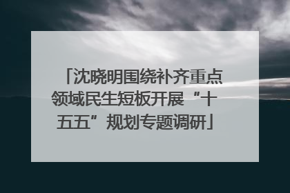 沈晓明围绕补齐重点领域民生短板开展“十五五”规划专题调研
