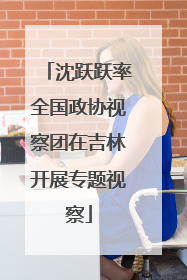 沈跃跃率全国政协视察团在吉林开展专题视察