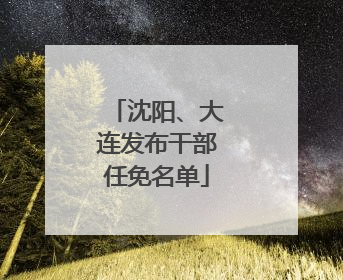 沈阳、大连发布干部任免名单