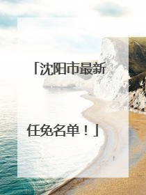 沈阳市最新任免名单！