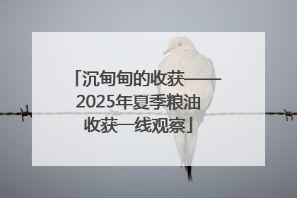 沉甸甸的收获——2025年夏季粮油收获一线观察