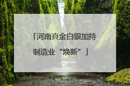 河南真金白银加持制造业“焕新”