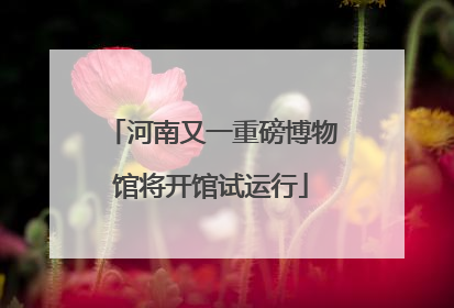 河南又一重磅博物馆将开馆试运行