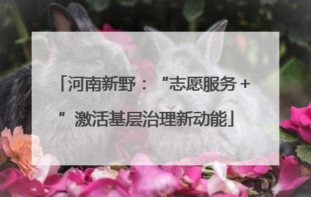 河南新野：“志愿服务＋”激活基层治理新动能