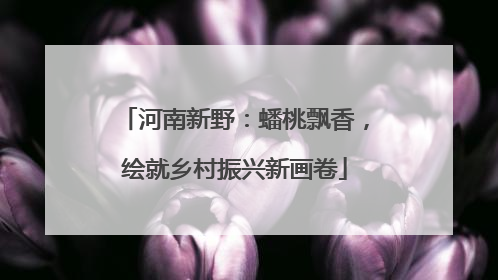 河南新野：蟠桃飘香，绘就乡村振兴新画卷