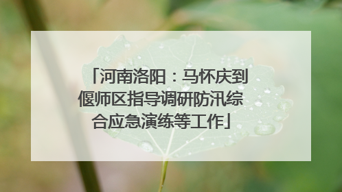 河南洛阳：马怀庆到偃师区指导调研防汛综合应急演练等工作