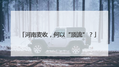 河南麦收，何以“顶流”？