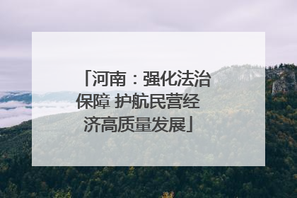 河南：强化法治保障 护航民营经济高质量发展