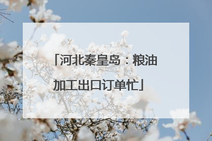 河北秦皇岛：粮油加工出口订单忙