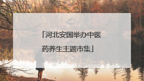河北安国举办中医药养生主题市集