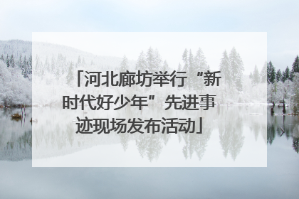 河北廊坊举行“新时代好少年”先进事迹现场发布活动