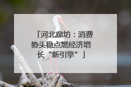 河北廊坊：消费势头稳点燃经济增长“新引擎”