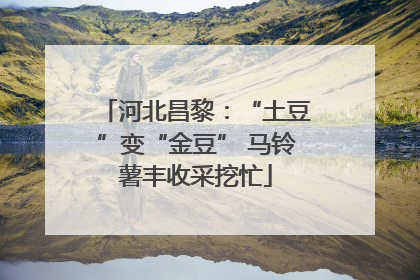 河北昌黎：“土豆”变“金豆” 马铃薯丰收采挖忙