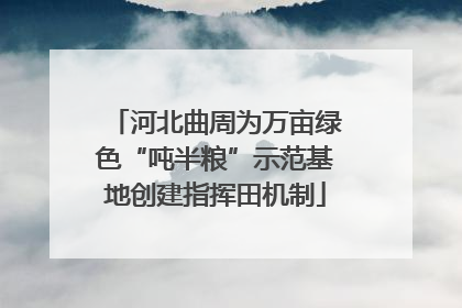 河北曲周为万亩绿色“吨半粮”示范基地创建指挥田机制