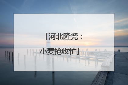 河北隆尧：小麦抢收忙