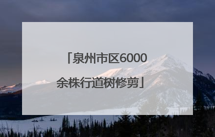 泉州市区6000余株行道树修剪