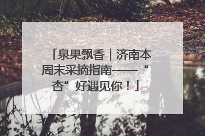 泉果飘香｜济南本周末采摘指南——“杏”好遇见你！