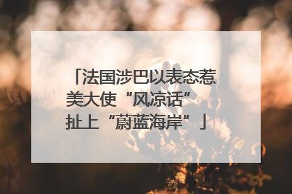 法国涉巴以表态惹美大使“风凉话” 扯上“蔚蓝海岸”