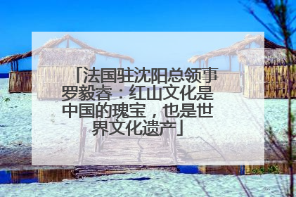 法国驻沈阳总领事罗毅睿：红山文化是中国的瑰宝，也是世界文化遗产