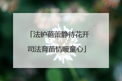 法护蓓蕾静待花开 司法育苗情暖童心