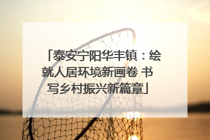 泰安宁阳华丰镇：绘就人居环境新画卷 书写乡村振兴新篇章