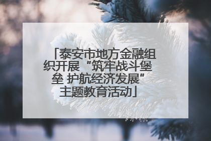 泰安市地方金融组织开展“筑牢战斗堡垒 护航经济发展”主题教育活动