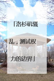洛杉矶骚乱，测试权力的边界