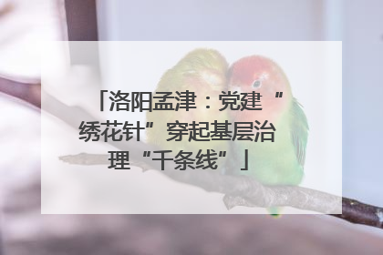 洛阳孟津：党建“绣花针”穿起基层治理“千条线”