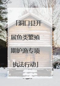 洞口县开展鱼类繁殖期护渔专项执法行动
