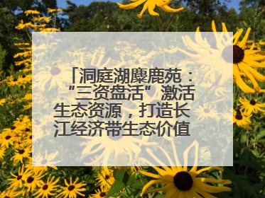 洞庭湖麋鹿苑：“三资盘活”激活生态资源，打造长江经济带生态价值转化新标杆