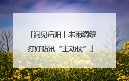 洞见岳阳丨未雨绸缪 打好防汛“主动仗”
