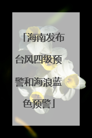 海南发布台风四级预警和海浪蓝色预警