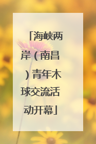 海峡两岸（南昌）青年木球交流活动开幕