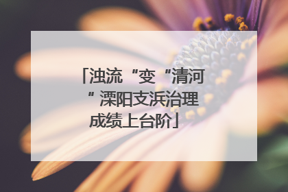 浊流“变“清河“ 溧阳支浜治理成绩上台阶