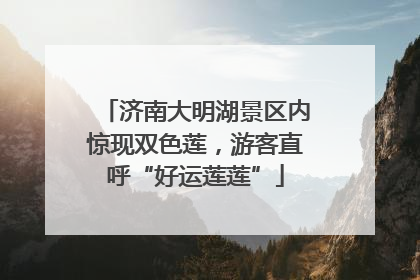 济南大明湖景区内惊现双色莲，游客直呼“好运莲莲”