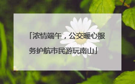 浓情端午，公交暖心服务护航市民游玩南山