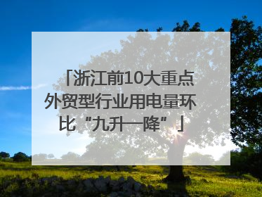 浙江前10大重点外贸型行业用电量环比“九升一降”