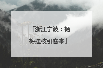 浙江宁波：杨梅挂枝引客来